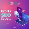 ProITs SEO Secrets Dubai